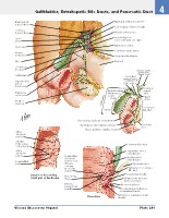 Frank H. Netter, MD - Atlas of Human Anatomy (6th ed ) 2014, page 316